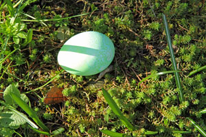 Aufmerksamkeit, Achtsamkeit, Coaching, Coach