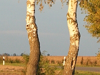 Projekte Sven Lehmann