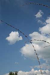 weise, Wolke, Himmel, Eile, Hast, Entspannung, Ruhe, Besinnung