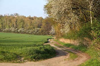 Glück, Ruhe, Entspannung, Trance, Hypnose, Leipzig, Beratung