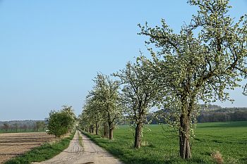 Glück, Ruhe, Entspannung, Trance, Hypnose, Leipzig, Beratung